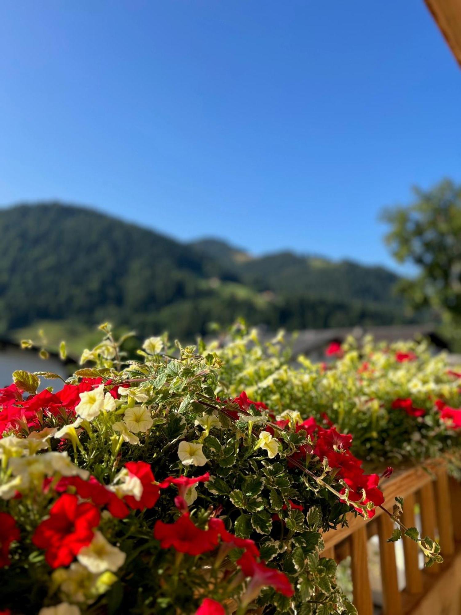 Residenz Theresa Söll Exteriér fotografie